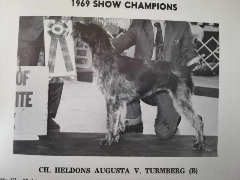 HELLDONS AUGUSTA VON TURMBERG