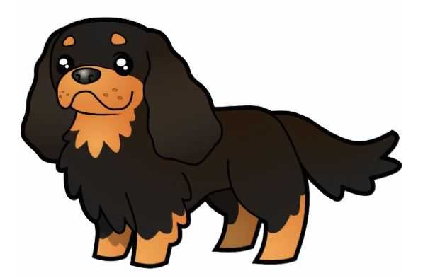 Cadeyrn Black Boris Of Shenlyn