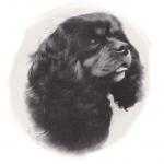 Wertune Black Bramble