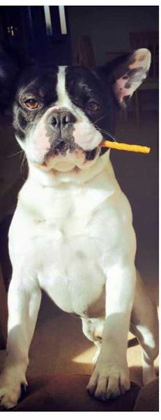 Rocko