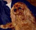 Turretbank Conchita