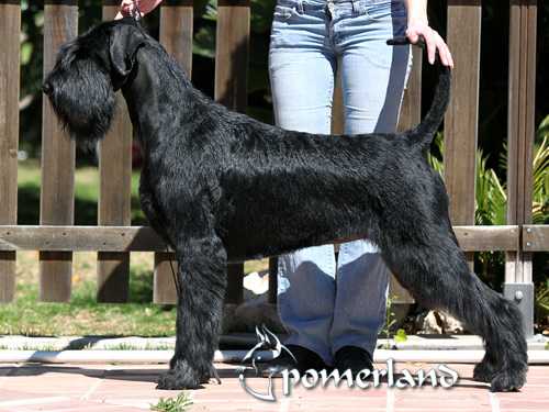 Unna De Pomerland