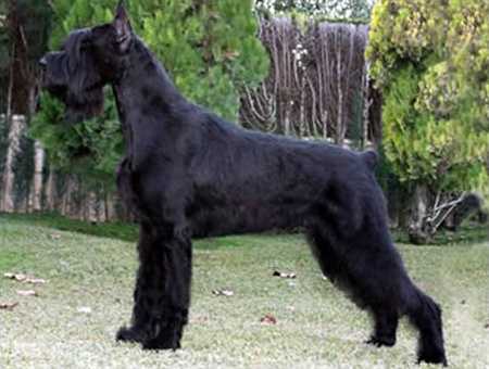 Eros De Pomerland