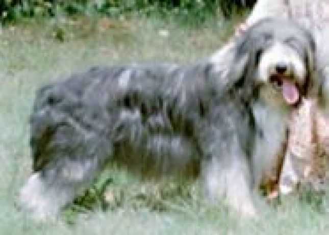 MAYHALENA BLACK VON DER GLüCKSALM