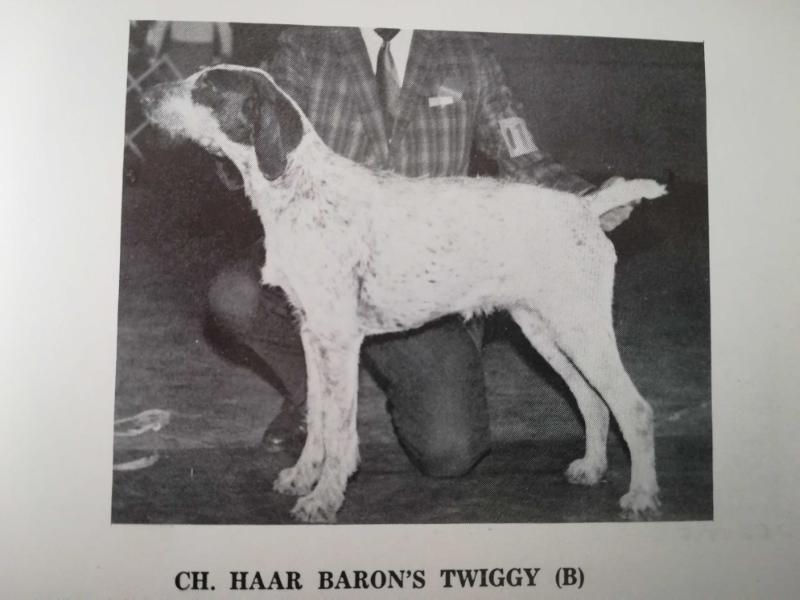 HAAR BARON'S TWIGGY