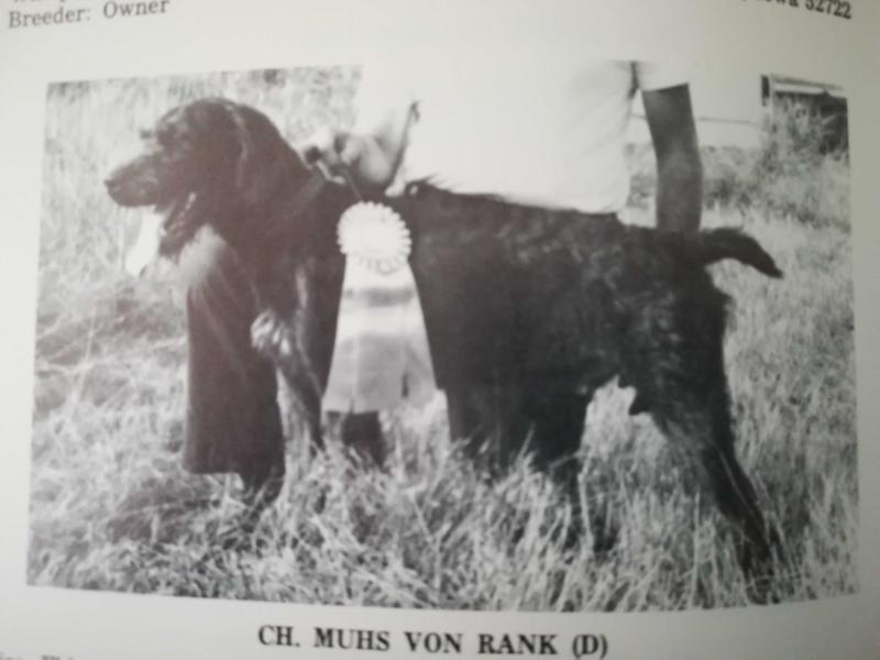 MUHS V RANK   (D)