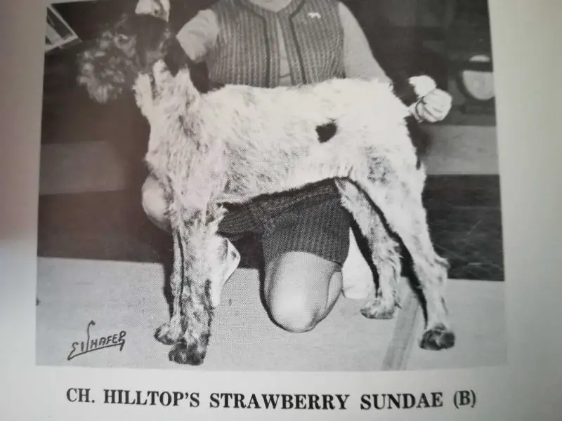 HILLTOP'S STRAWBERRY SUNDAE