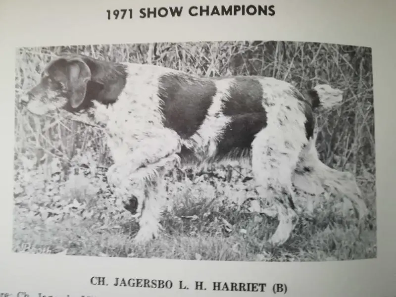 JAGERSBO L.H. HARRIET (B)