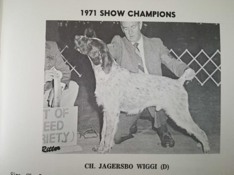 JAGERSBO WIGGI (D)