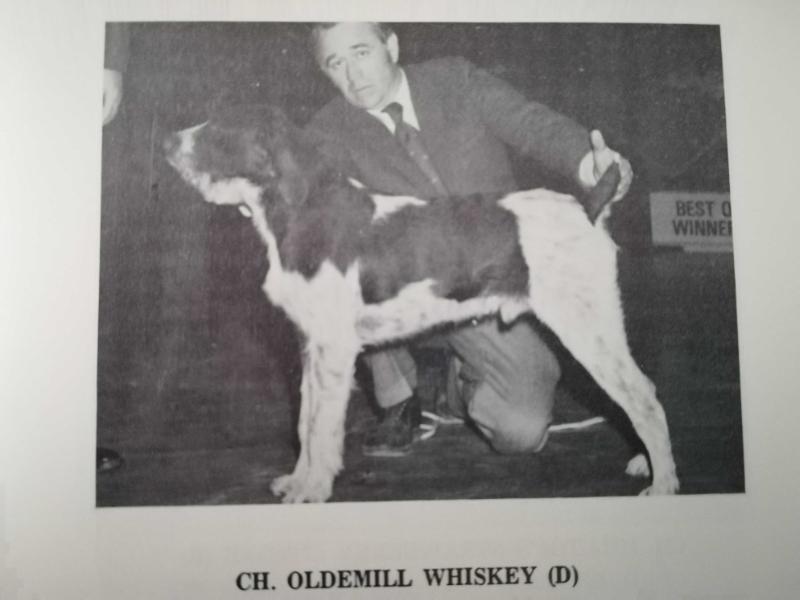 OLDEMILL WHISKEY  (D)