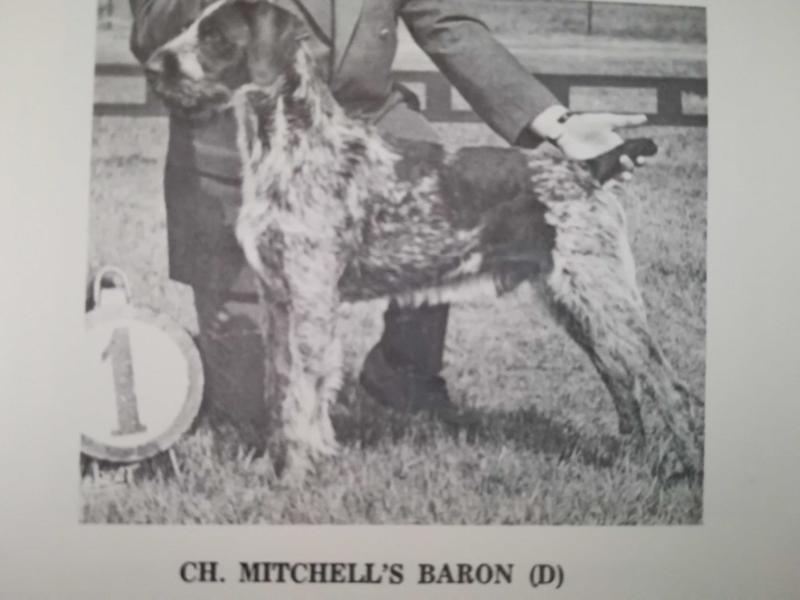 MITCHELL'S BARON