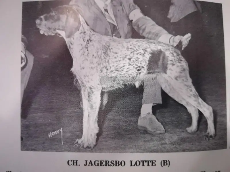 JAGERSBO LOTTE