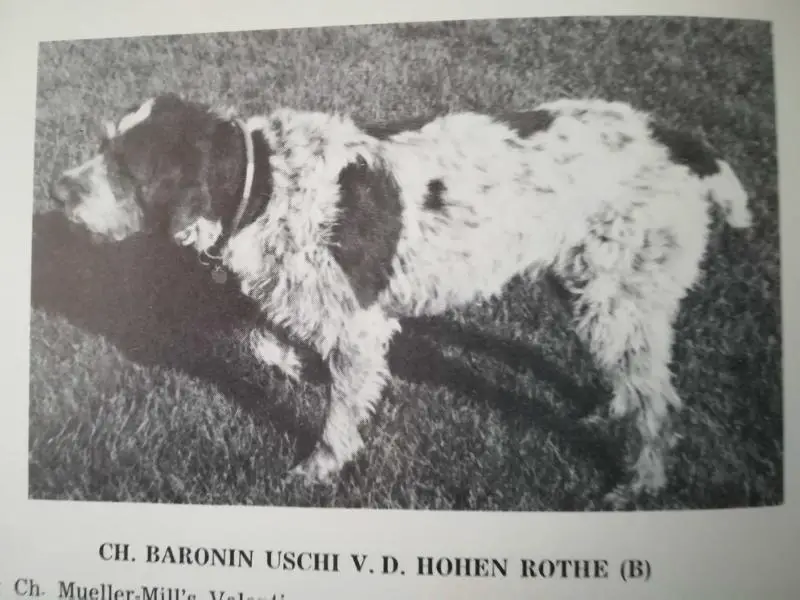 BARONIN USCHI V D HOHEN ROTHE