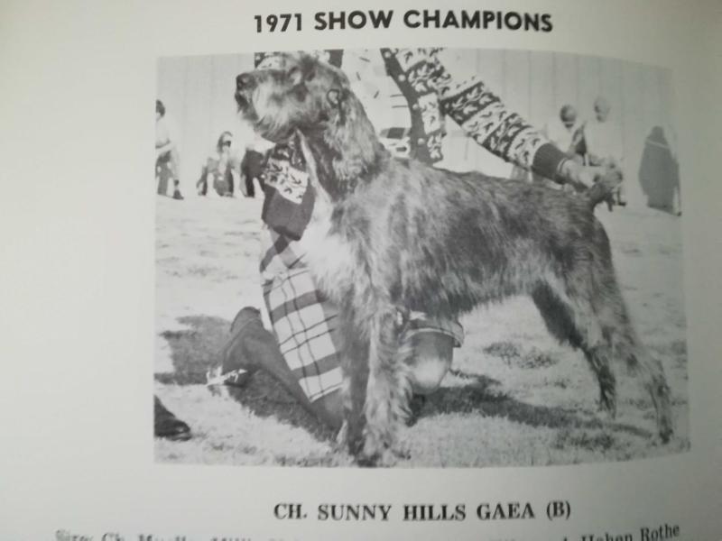 SUNNY HILLS GAEA