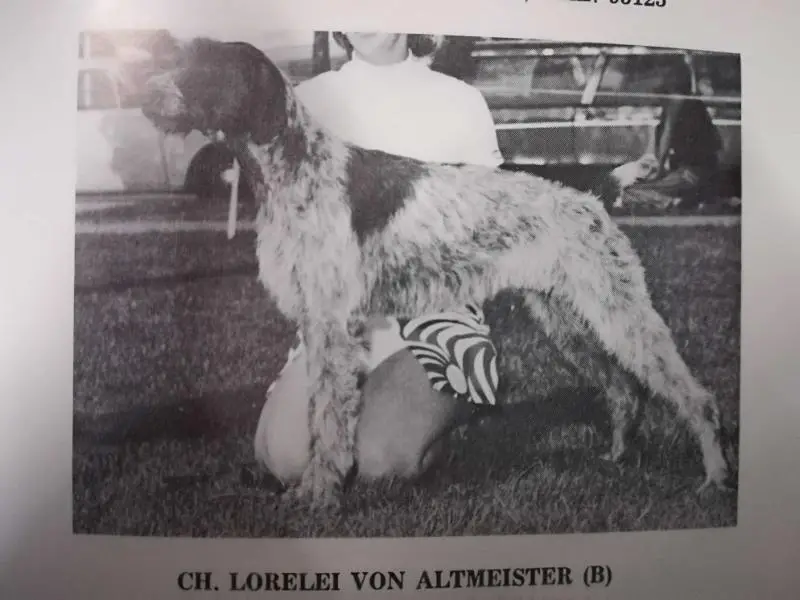LORELEI V ALTMEISTER