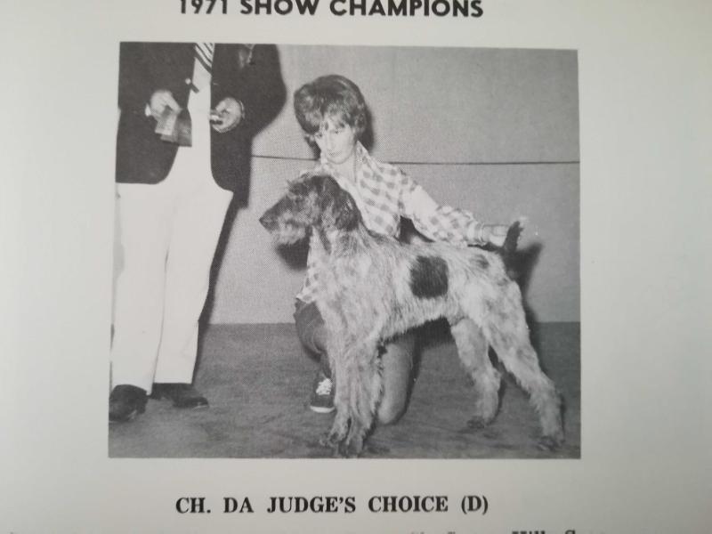 DA JUDGES CHOICE