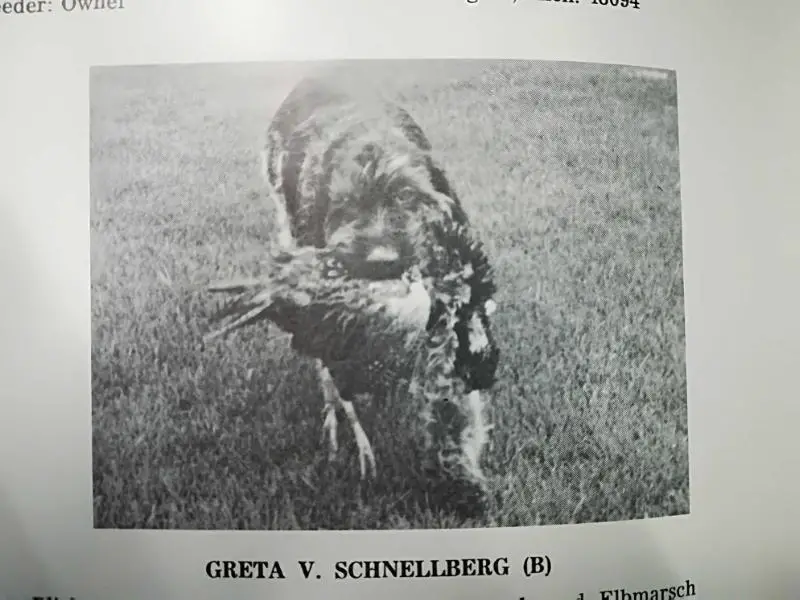 GRETA V SCHNELLBERG (B)