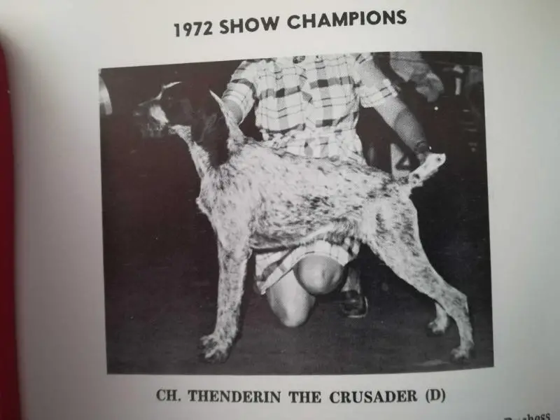 THENDERIN THE CRUSADER (D)