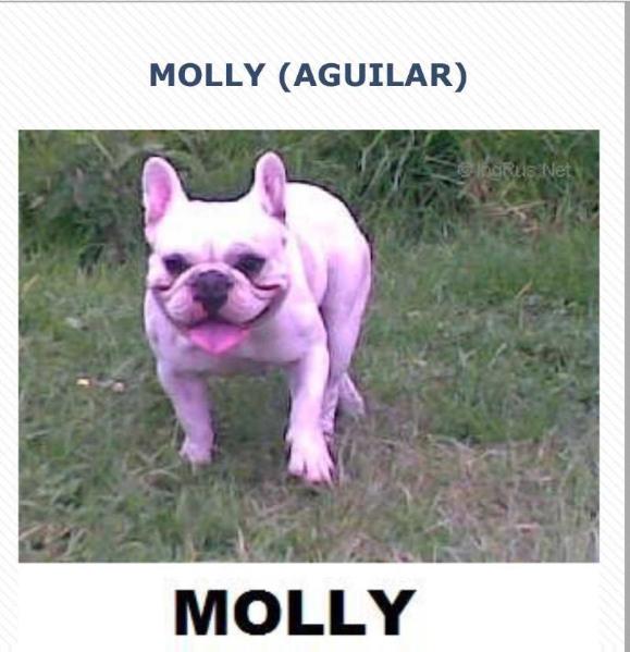 MOLLY (AGUILAR)