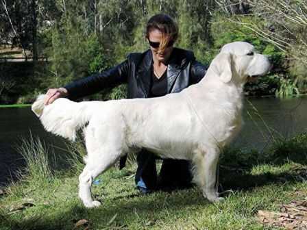 Dewmist Silversong