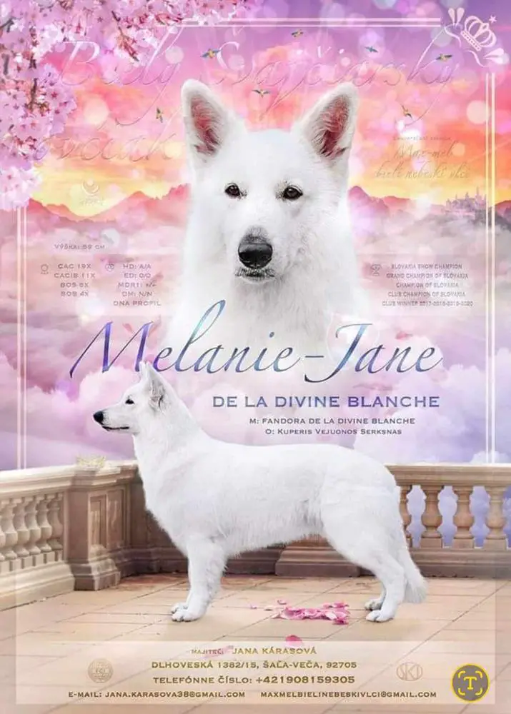 Melanie-Jane De La Divine Blanche