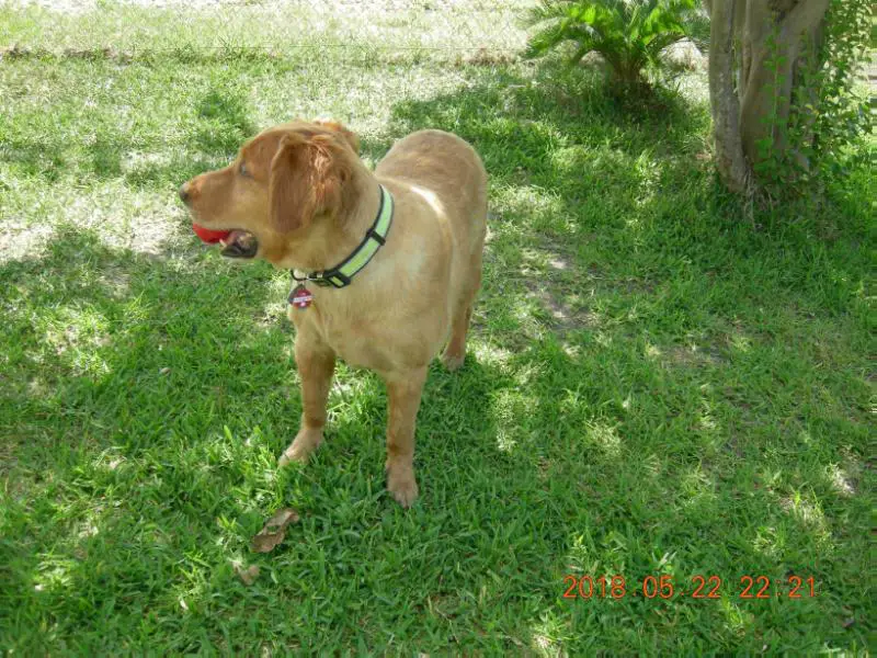 GUNNERY SARGE MADOC II HURST (GUNNY)