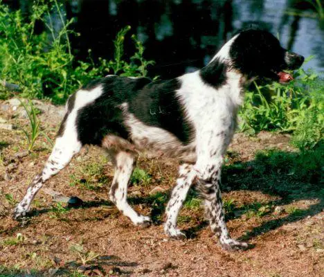 Ada Souchov