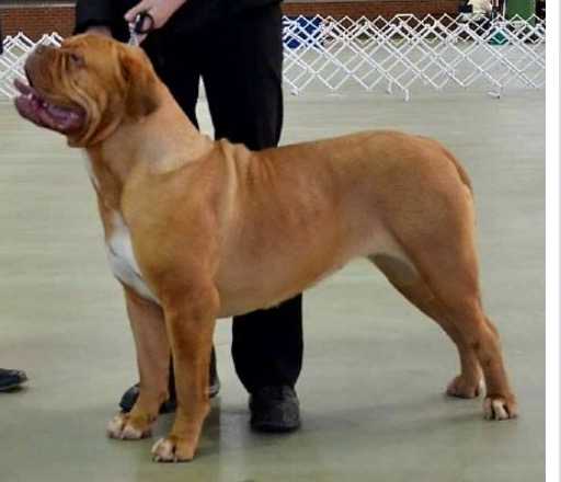 Deauxrogue Arcadias