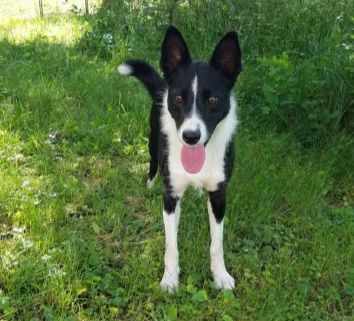Nyxie Noone ABC 457122