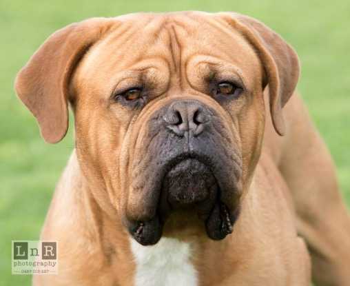 DEAUXROGUE LUCIAN