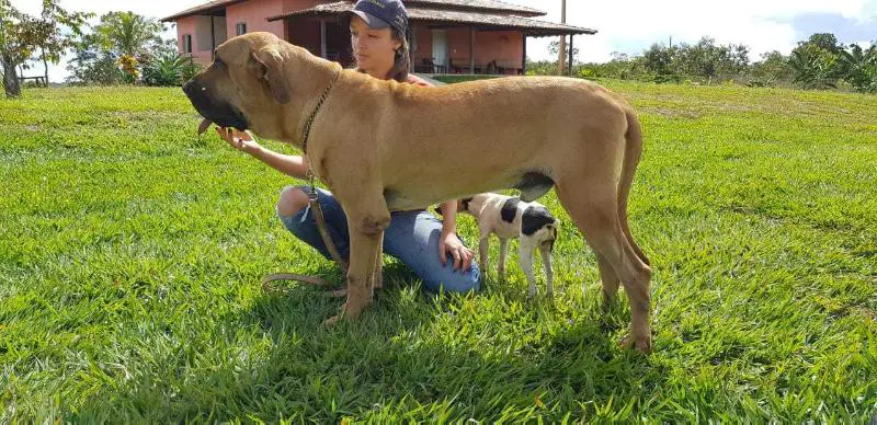 Jagunço Recanto do Livramento