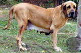 BETANIA DA SERRA DE ITANHANDU