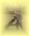 Roy Bica v h Joramahof