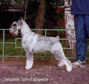 Jetaime Talhi La Fayette