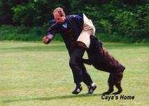 Anubis Ukkie v Caya's Home