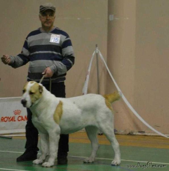 ULANA.