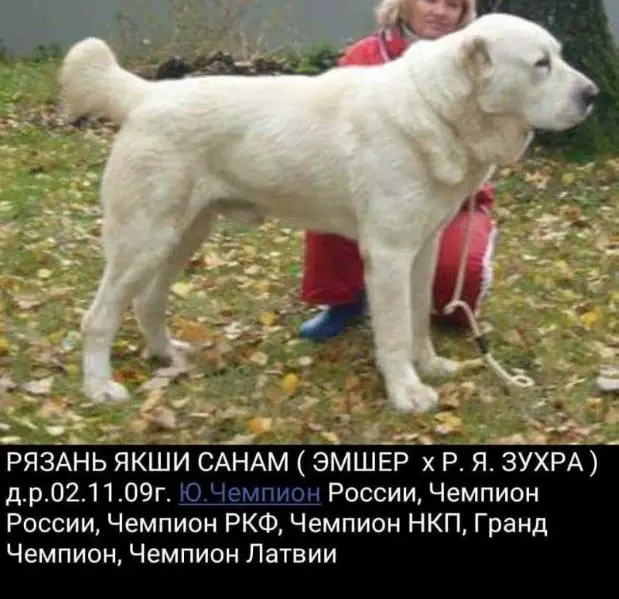 RYAZAN YAKSHI SANAM