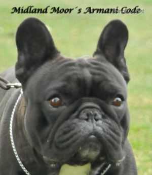 Midland Moor Armani Code