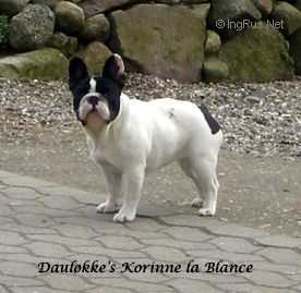 DAULÖKKE'S KORINNE LA BLANCE