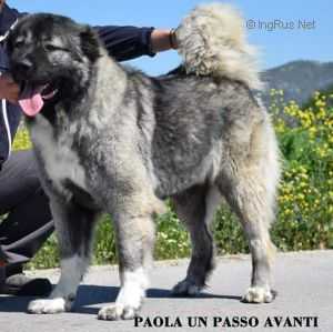 Paola Un Passo Aventi