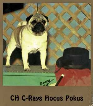 C-RAY HOCUS POKUS