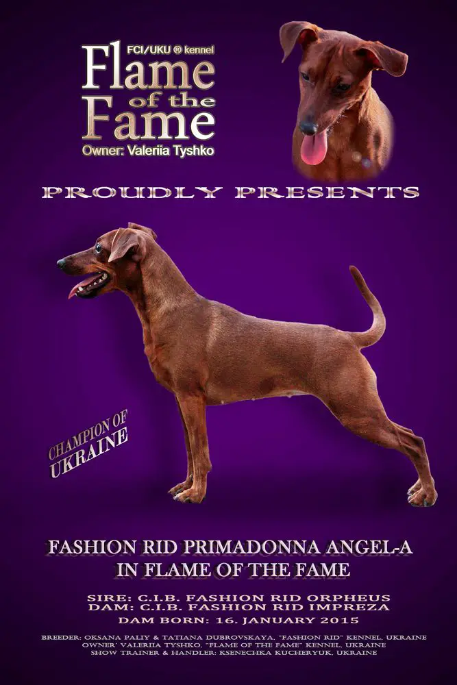 Fashion Rid Primadonna Angel-A In Flame Of The Fame