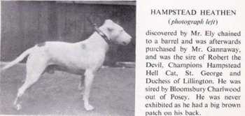 Hampstead Heathen