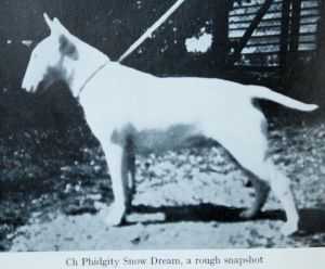 Phidgity Snow Dream