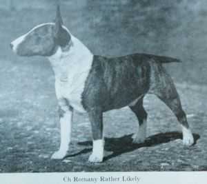 Romany Rather Likely