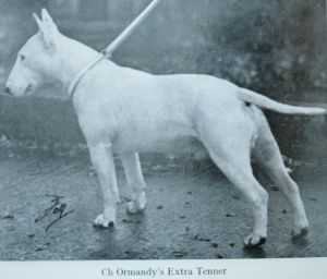 Ormandy's Extra Tenner