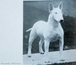 Ormandy's Silverstar