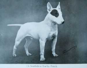 Southdene Lucky Patch