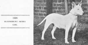 Bloomsbury Merry Girl