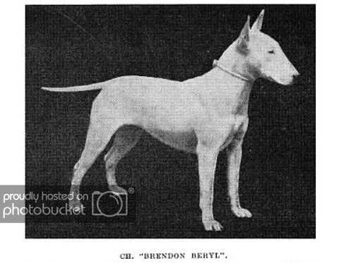Brendon Beryl